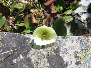 08-f