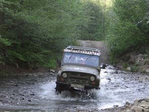 Через М.Пшиш